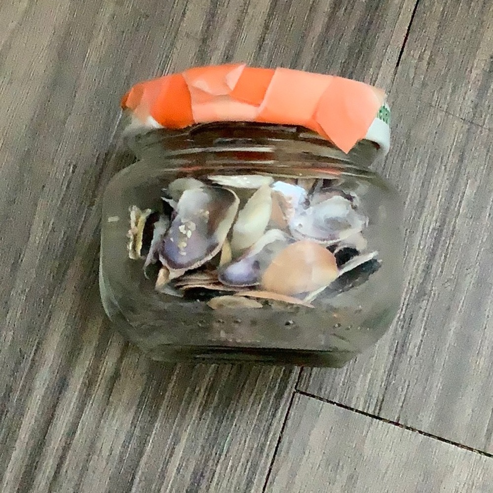 Seashell jar